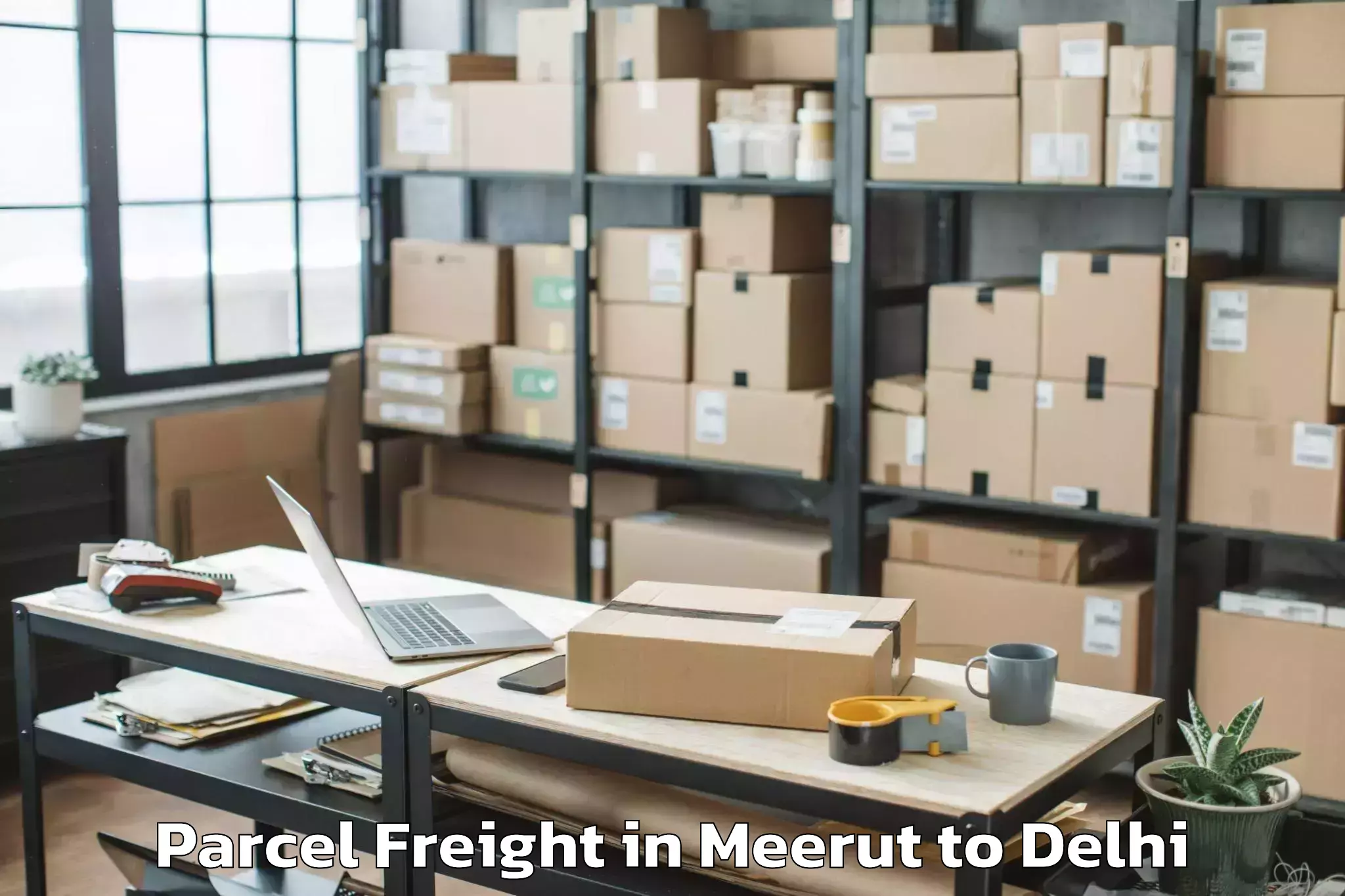 Expert Meerut to Rohini Parcel Freight